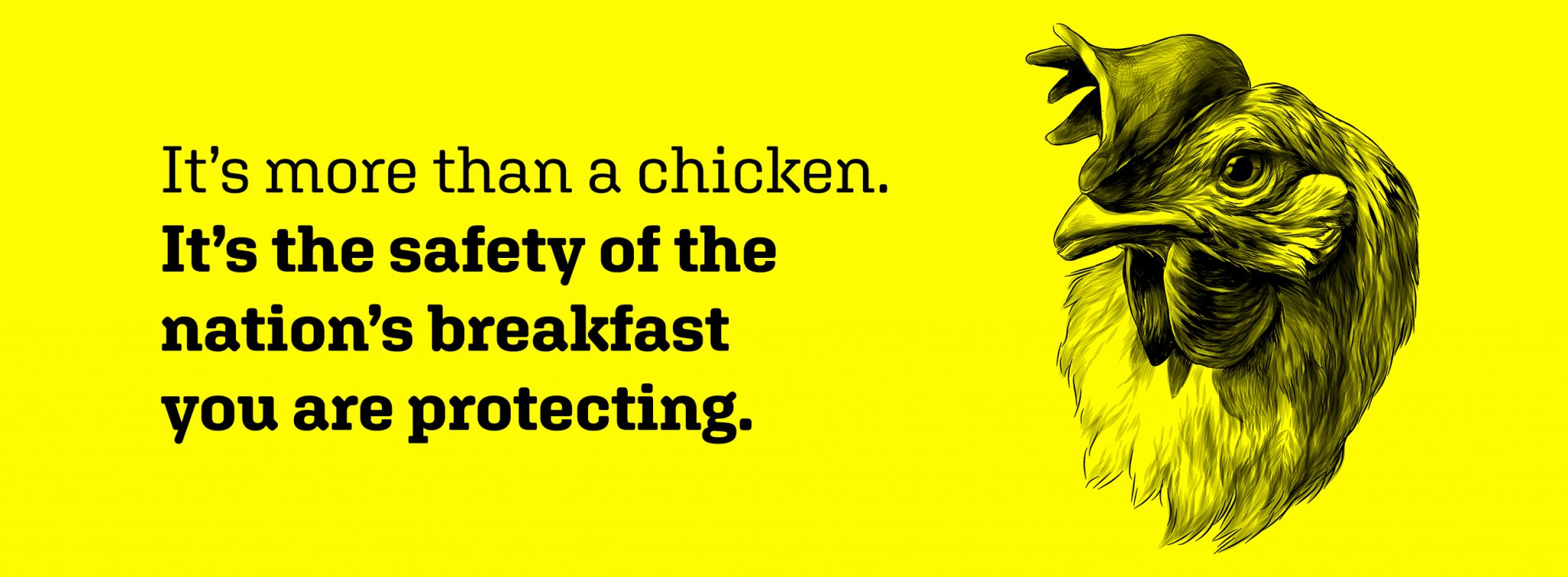 It'd more than a chicken. It's the safety of the nation's breakfast you are protecting.