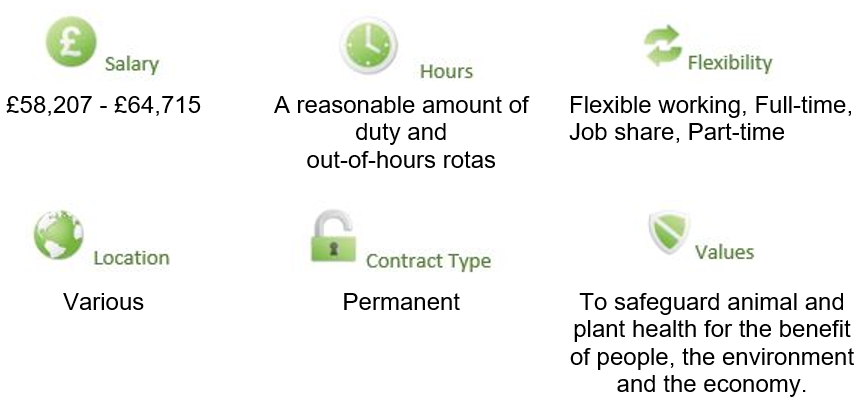 Image shows a snap shot of details of the vacancy which are also included in the main text.