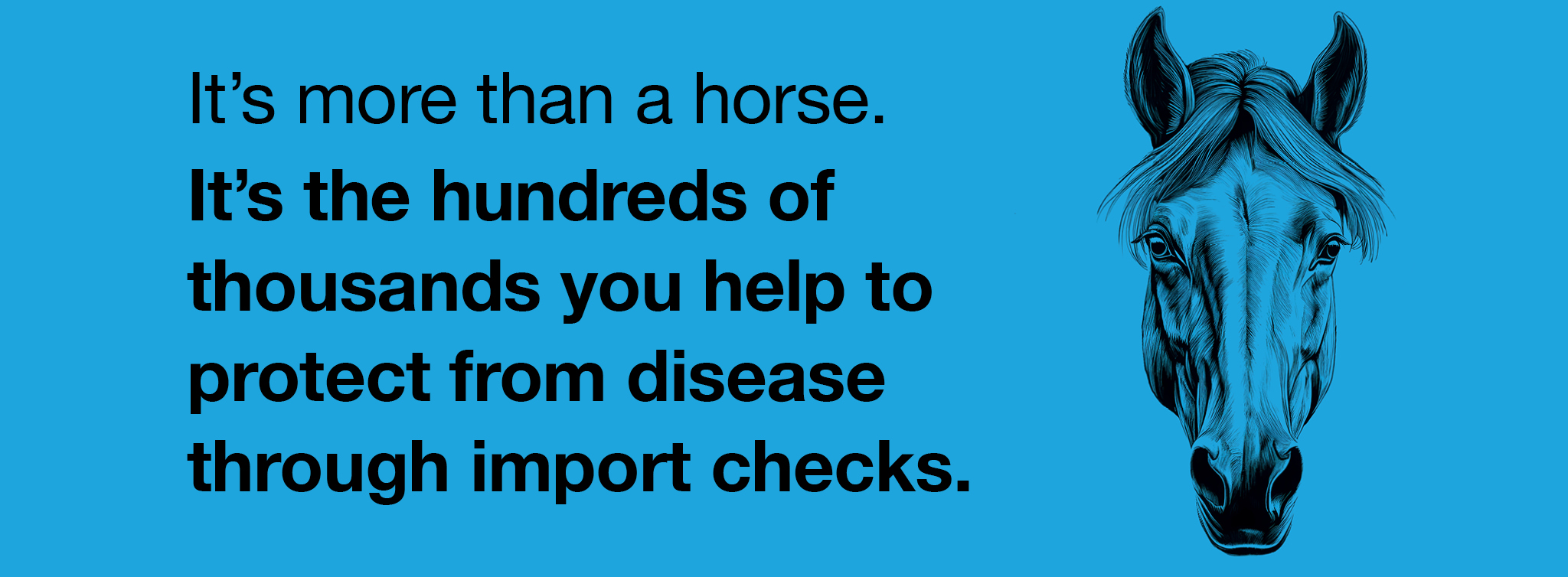 It's more than a horse It's the hundreds of thousands you help to protect from disease through import checks.