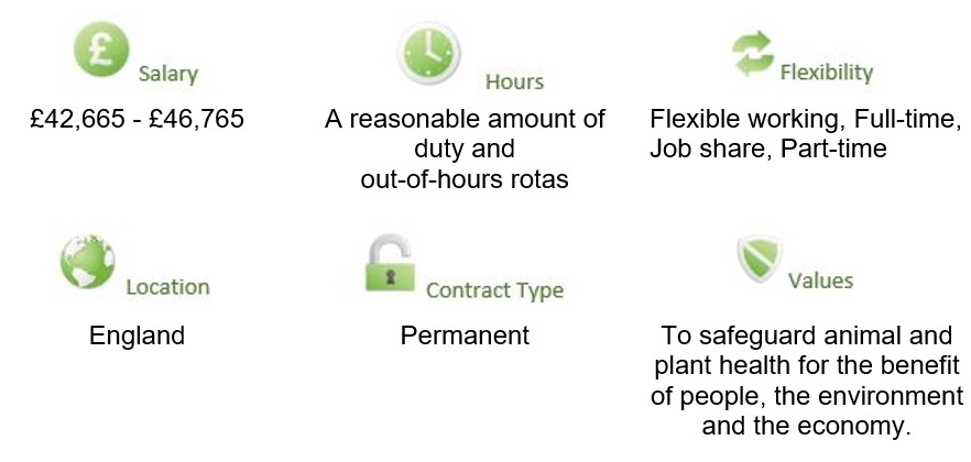 Image shows a snap shot of details of the vacancy which are also included in the main text.