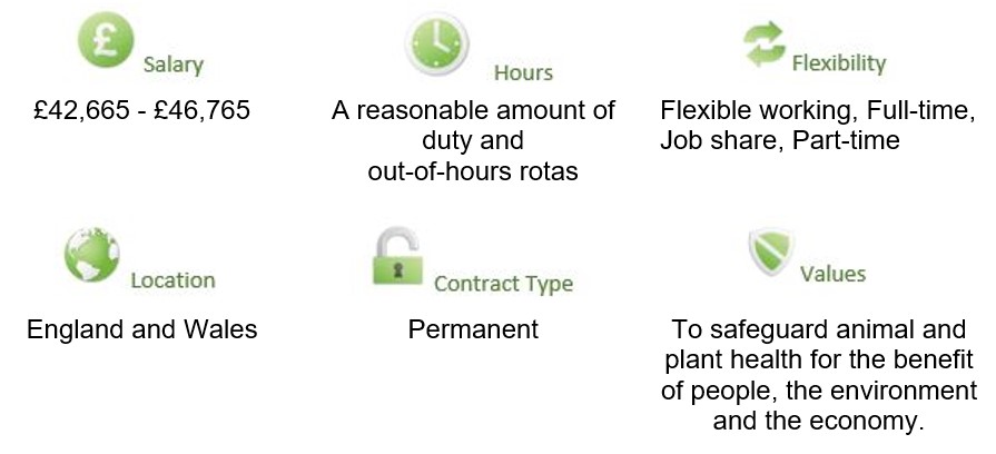 Image of details of the vacancy salary, hours, contract. Read the content on the page to find out more.