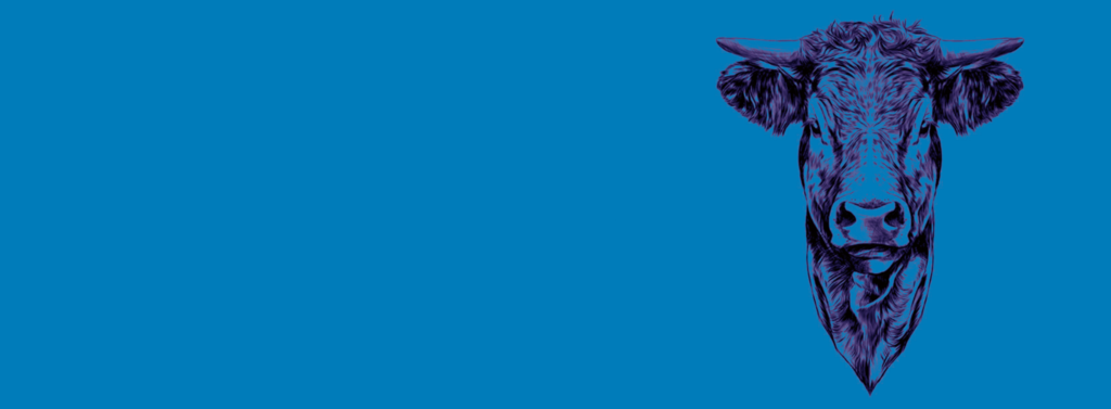 It's more than a cow. It's one of the 9.6 million that you help protect through national disease control programs.