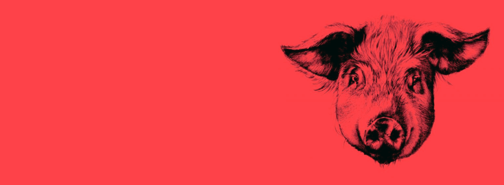 It's more than a pig. It's your  opportunity to protect the national
herd from an ASF outbreak.